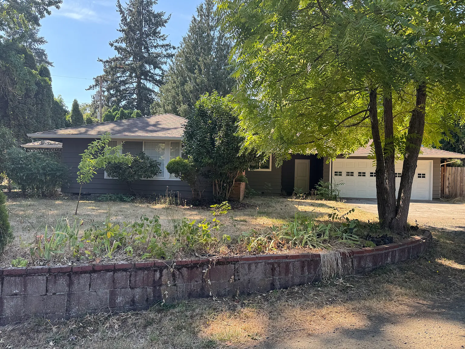3 bed, 1602 sqft, $2,300 — Photo 3