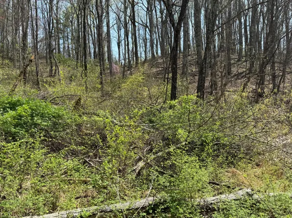 3 & 4 Murray Hollow Rd, Thaxton, VA 24174