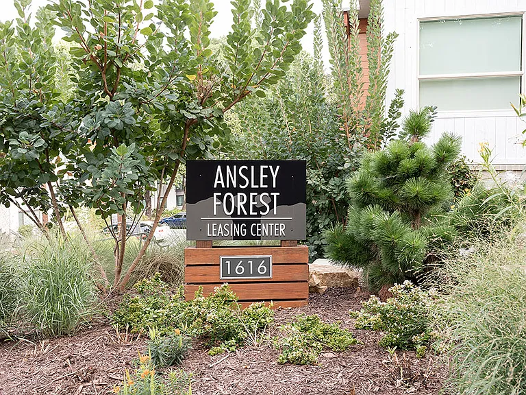 Ansley Forest — Photo 1