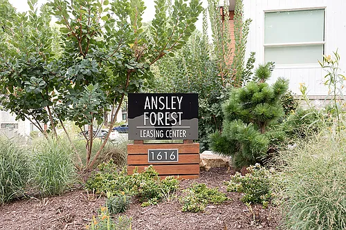 Ansley Forest Photo 1