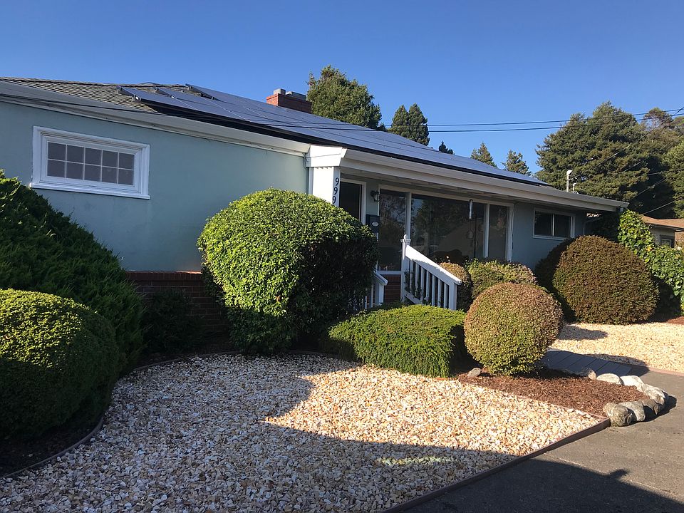 Low Maintenance Landscape