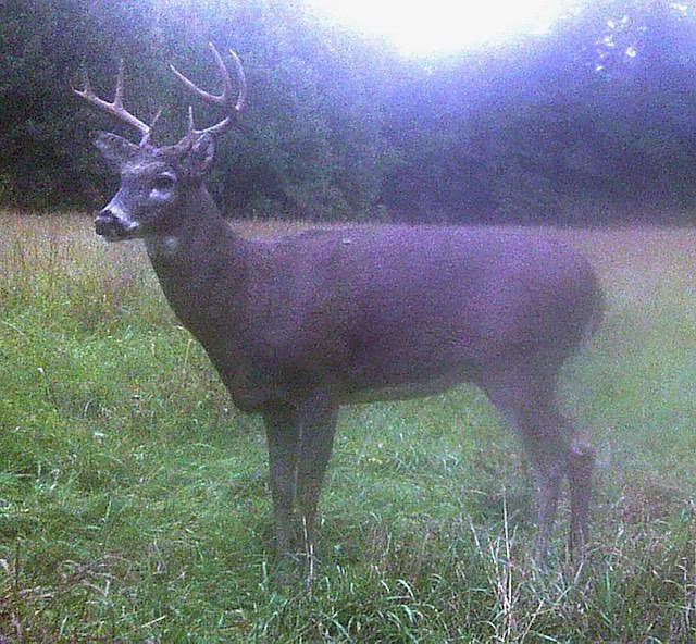 1st image of 13728 NW County Road 1501
