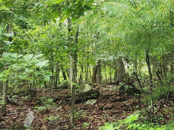 Tbd Blue Grass Trl, Bland, VA 24315