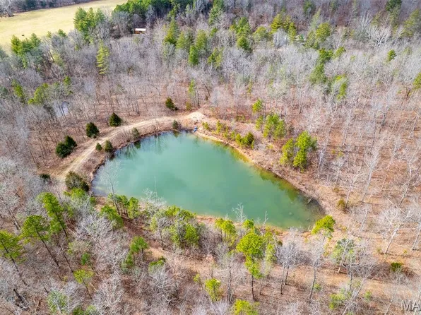 7030 Wayne Rte N #341, Piedmont, MO 63957