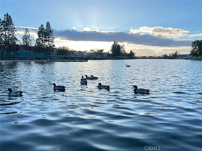30665 Spring Deep Ter — Photo 62