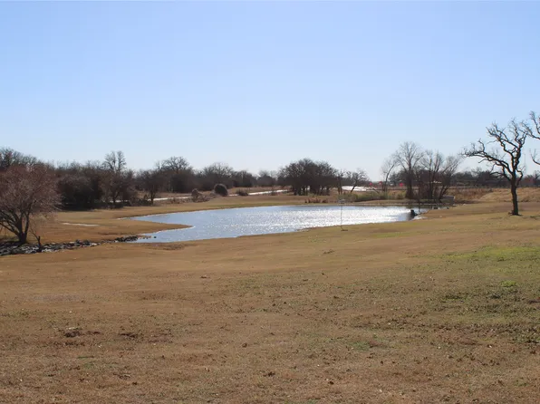 138 Walnut Creek Ln, Boyd, TX 76023
