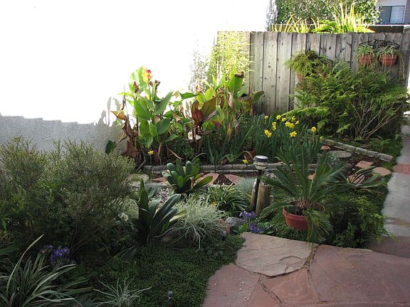 Side yard
