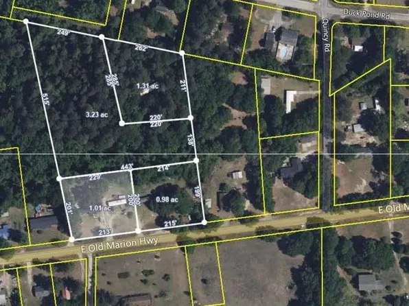 E Old Marion Hwy, Florence, SC 29506