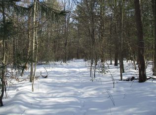 9387 S Grayling Rd, Roscommon, MI 48653