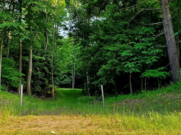 W Deer Rd, Mears, MI 49436