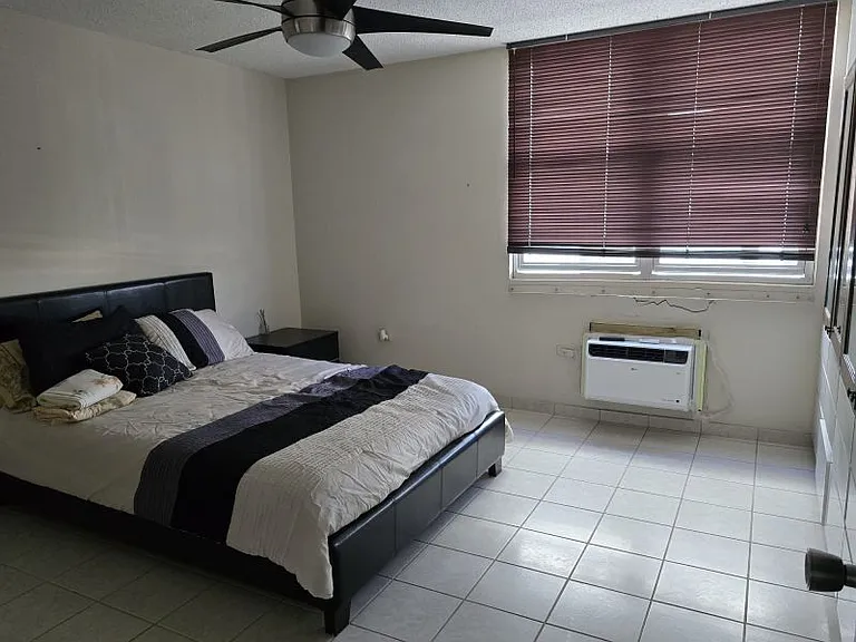 Cond El Aranjuez 121 Fd Roosevelt Ave — Photo 5