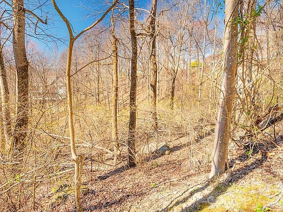 4th image of 461 Somersby Pkwy