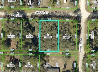 35358 Snyder St, Webster, FL 33597