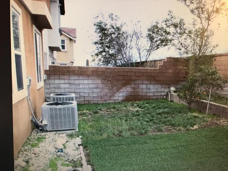 Back yard