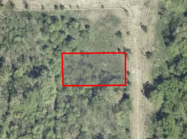 15312 S Zion Ave, South Holland, IL 60473