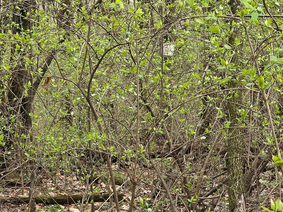 1st image of 19174 Township Road 67b Lot 1