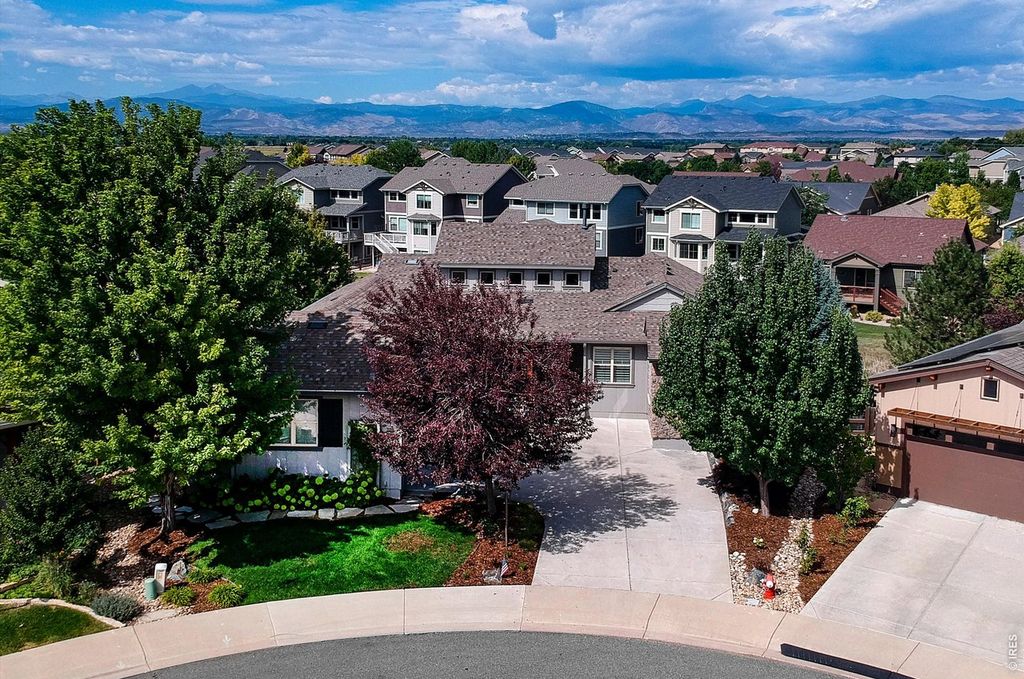 4462 Chaplin Creek Ct