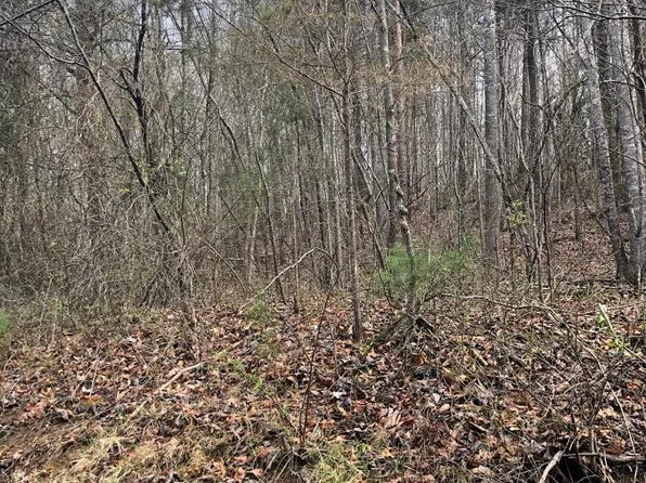 40 Hollow Ln, Craigsville, VA 24430