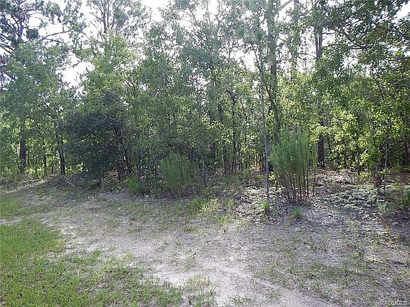 5th image of 1869 W La Bonte Cir