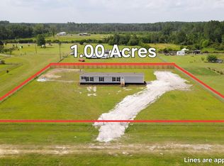 2519 Barnes Rd, Blackshear, GA 31516