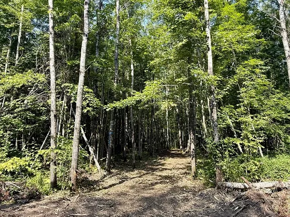 10 E County Road T, Danbury, WI 54830