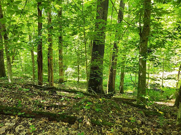 4th image of 0 Indian Creek Rd
