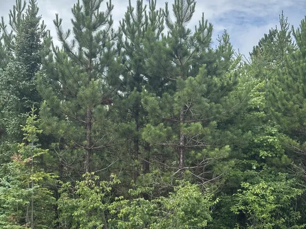 Near Cth Y S Rns Lot 8, Tomahawk, WI 54487