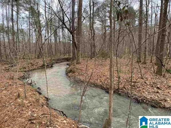 1760 Possum Trot Rd #0, Piedmont, AL 36272