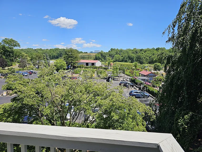 A view from the deck.