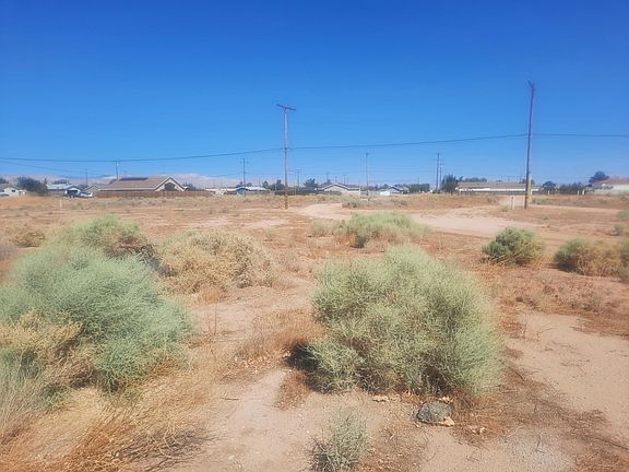 3rd image of Catalpa Ave