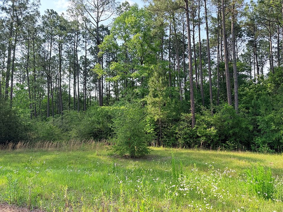 2nd image of Nhn Moss Cir