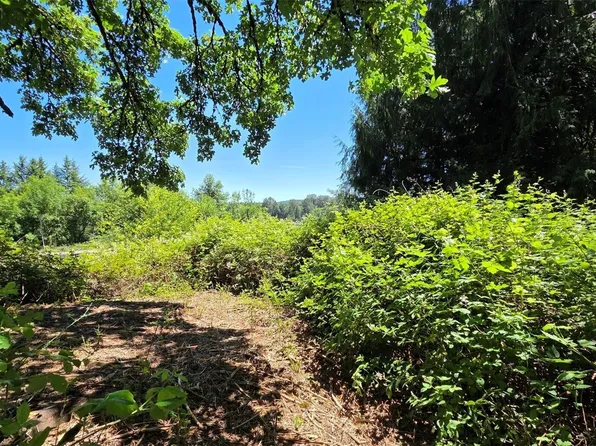 123 Mulford Road, Toledo, WA 98591