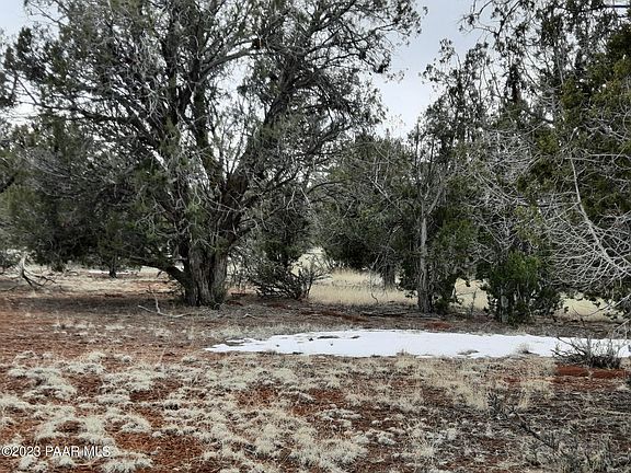 4th image of LOT 1217 Shadow Mountain Pkwy