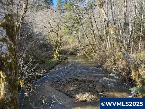 0 Steer Creek Rd, Blodgett, OR 97326