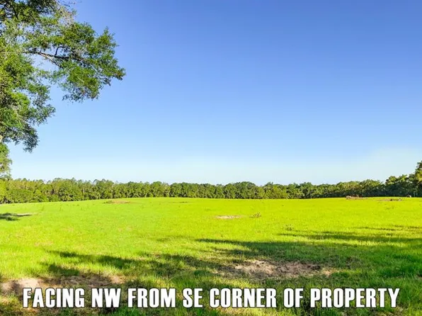 NW 65th St, Bell, FL 32619