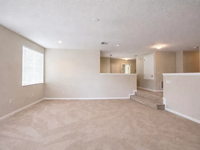 4410 Pine Gold Ave — Photo 9