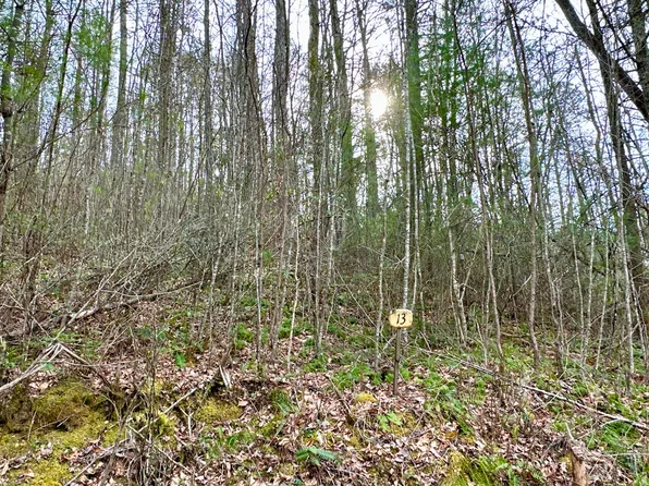 LOT Clydesdale Way #13, Del Rio, TN 37727