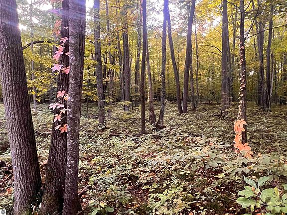 2nd image of LOT 71 Birch View Trl