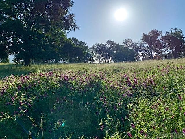 1st image of 2206 Basket Ln #608