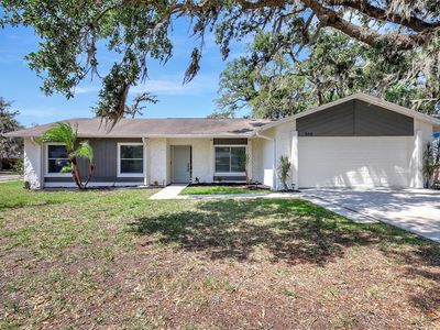 518 Sandy Creek Dr, Brandon, FL, 33511
