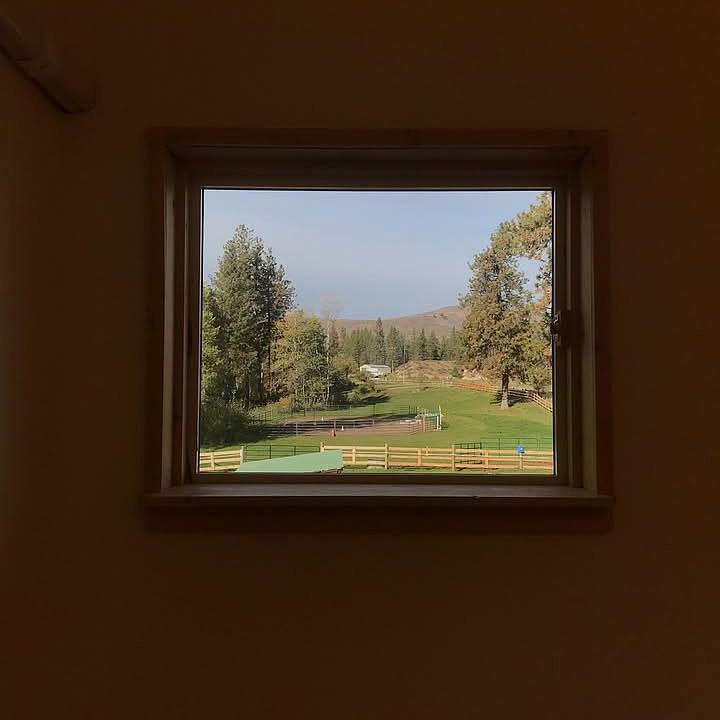 Livingroom Window