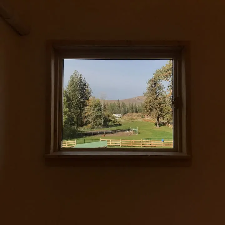 Livingroom Window