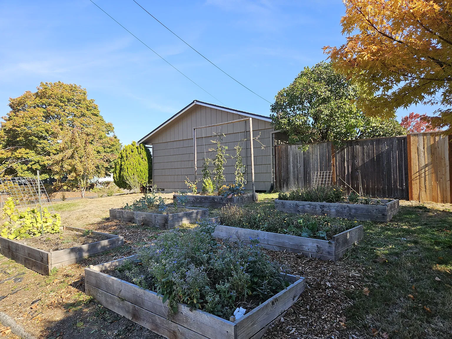 4 bed, 1212 sqft, $2,650 — Photo 2