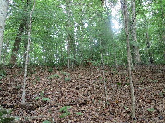 2nd image of LOT 53 Mountain Rock Trl