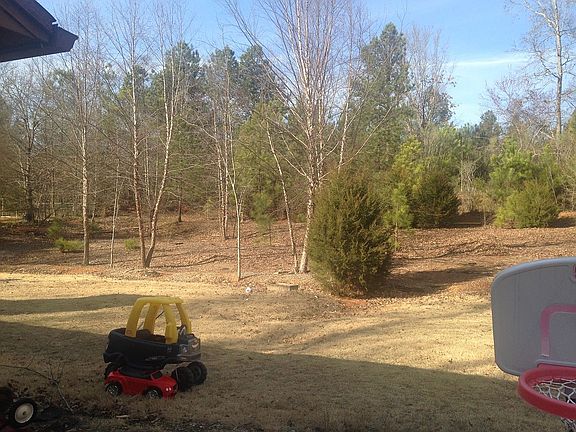 back yard winter time
