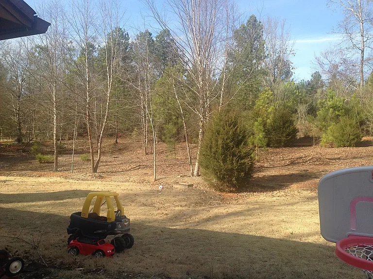 back yard winter time