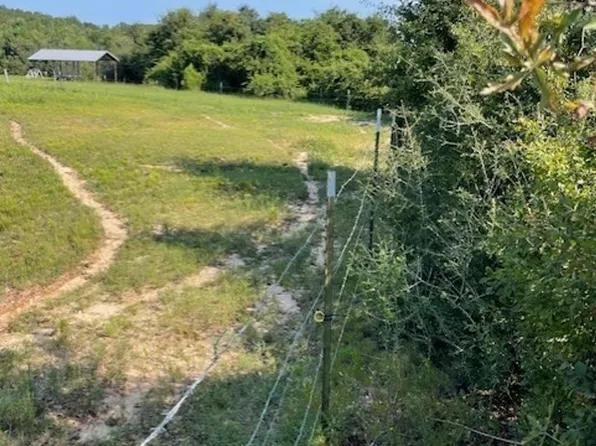 Old Three Notch Rd, Glenwood, AL 36034