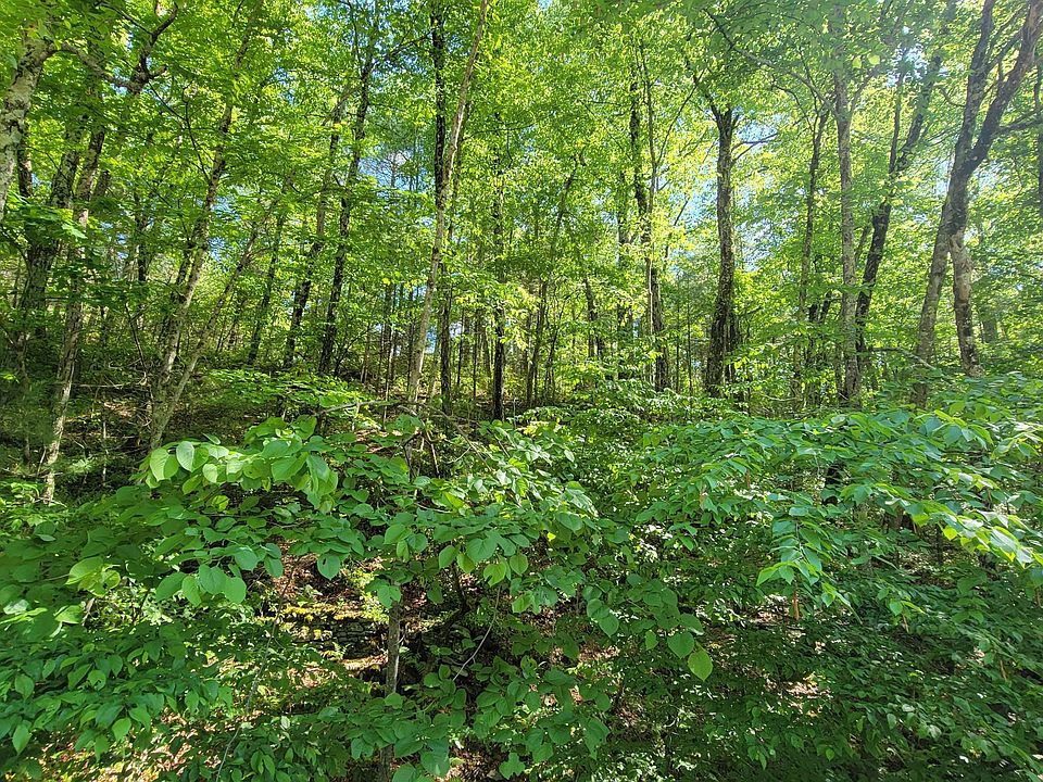 2nd image of 78.7 Proctor Rd