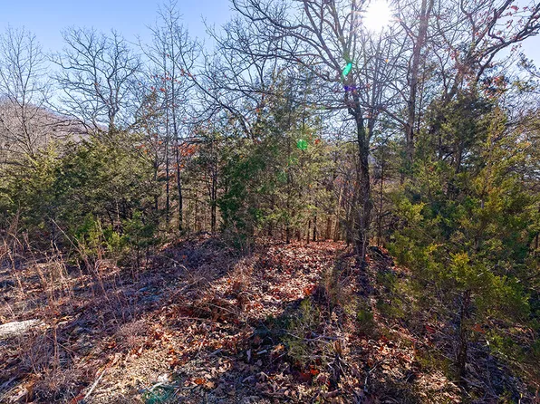 Lot 5 Terrace Drive, Ridgedale, MO 65739