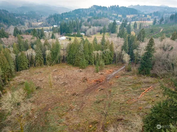 0 NE 121st Avenue, Woodland, WA 98674